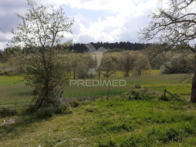 Quinta T6 para Venda em Trancoso (São Pedro e Santa Maria) e Souto Maior Foto 6