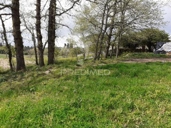 Quinta T6 para Venda em Trancoso (São Pedro e Santa Maria) e Souto Maior Foto 4