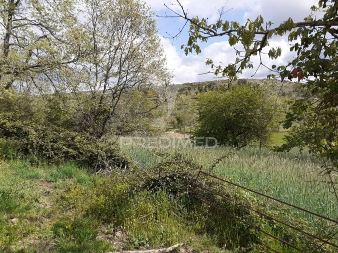 Quinta T6 para Venda em Trancoso (São Pedro e Santa Maria) e Souto Maior Foto 7