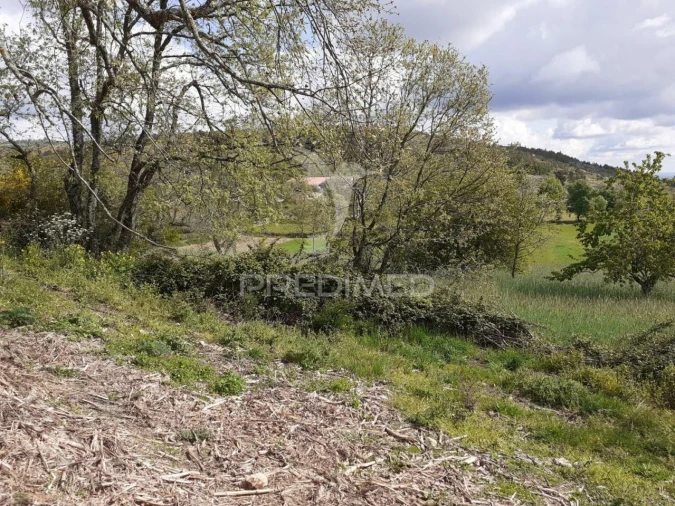 Quinta T6 para Venda em Trancoso (São Pedro e Santa Maria) e Souto Maior Foto 3
