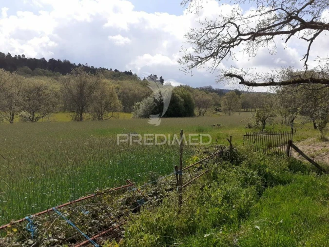 Quinta T6 para Venda em Trancoso (São Pedro e Santa Maria) e Souto Maior Foto 5