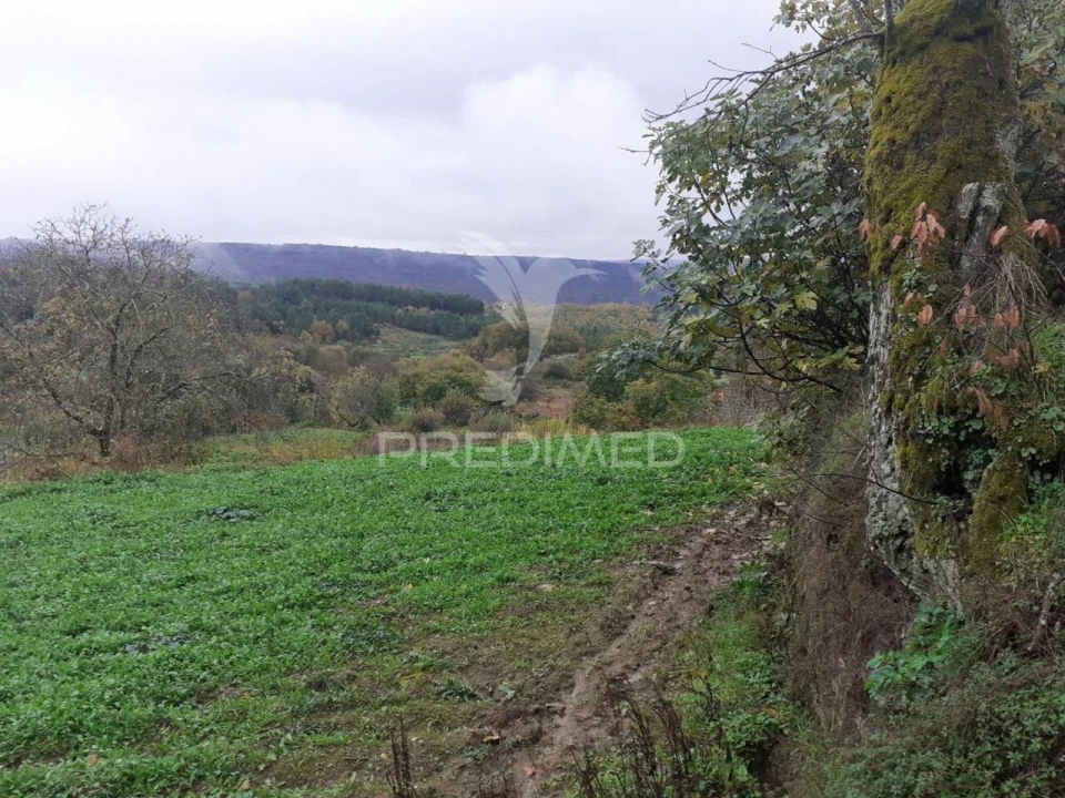 Terreno para Venda em Freches e Torres Foto 6