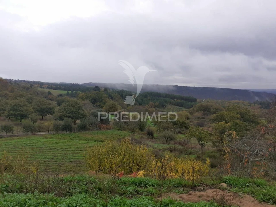 Terreno para Venda em Freches e Torres Foto 9