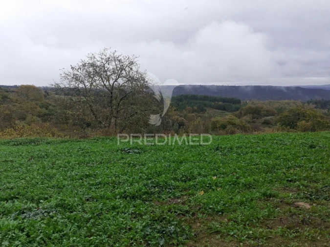 Terreno para Venda em Freches e Torres Foto 7