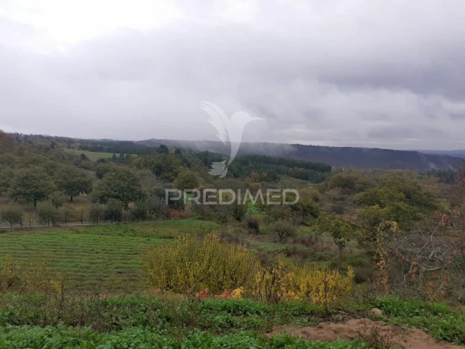 Terreno para Venda em Freches e Torres Foto 9