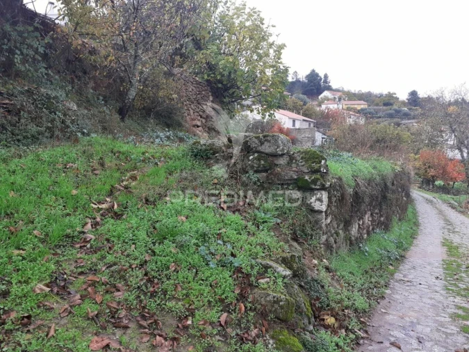 Terreno para Venda em Freches e Torres Foto 4