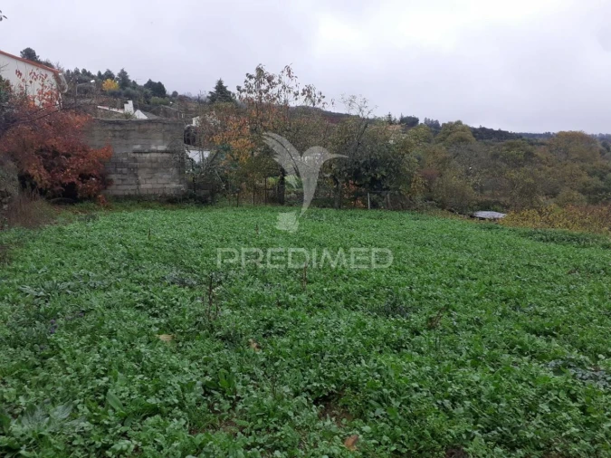 Terreno para Venda em Freches e Torres Foto 2