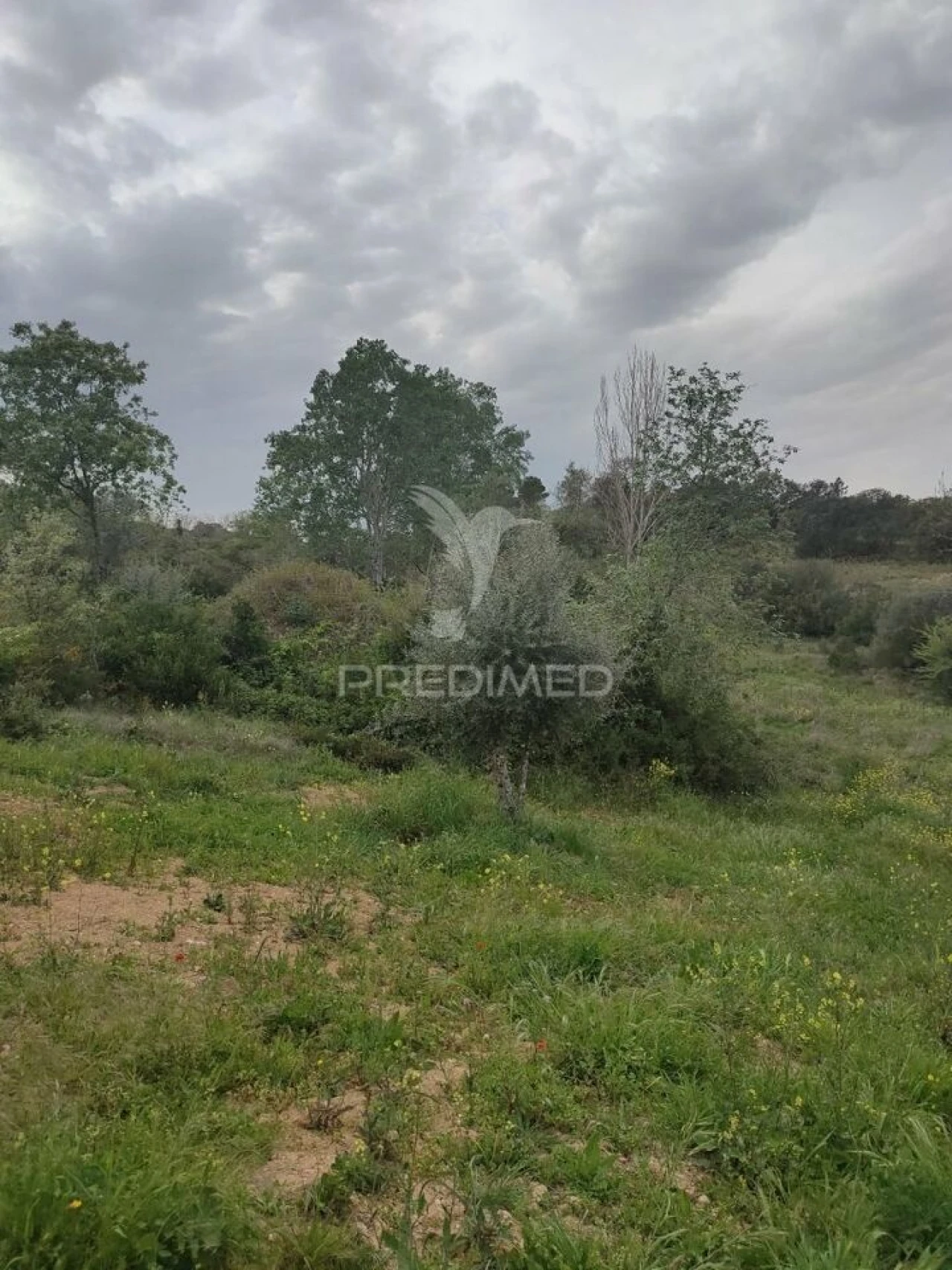 Terreno para Venda em Achete, Azoia de Baixo e Póvoa de Santarém Foto 13