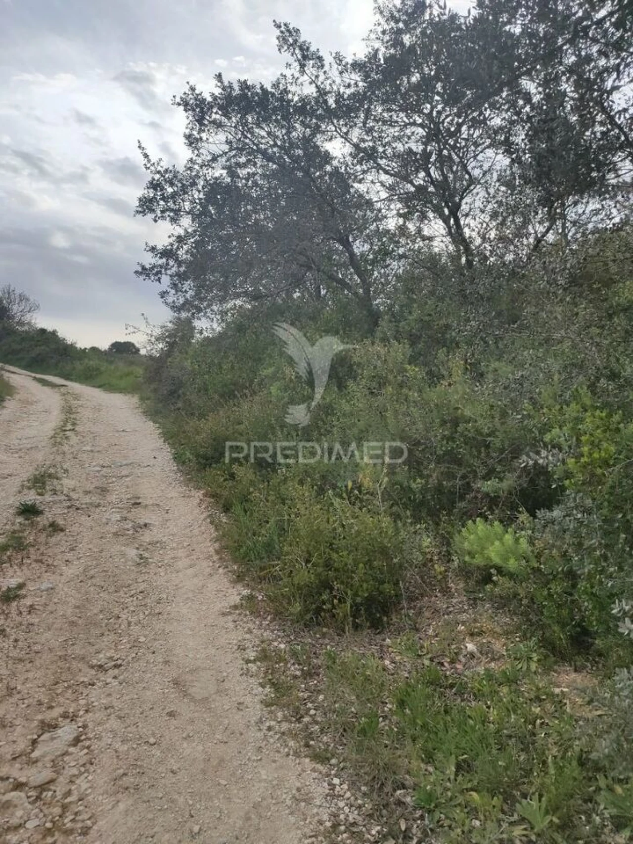 Terreno para Venda em Achete, Azoia de Baixo e Póvoa de Santarém Foto 1