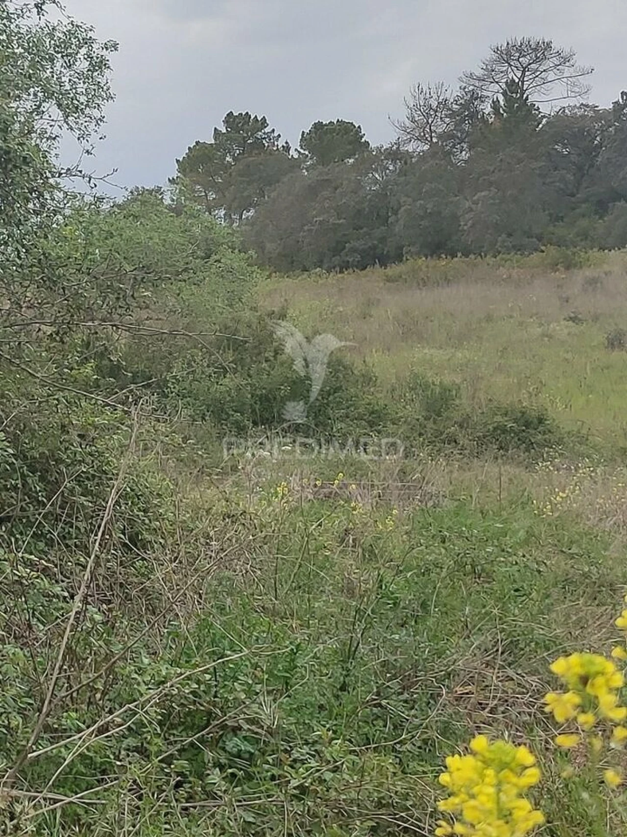 Terreno para Venda em Achete, Azoia de Baixo e Póvoa de Santarém Foto 11