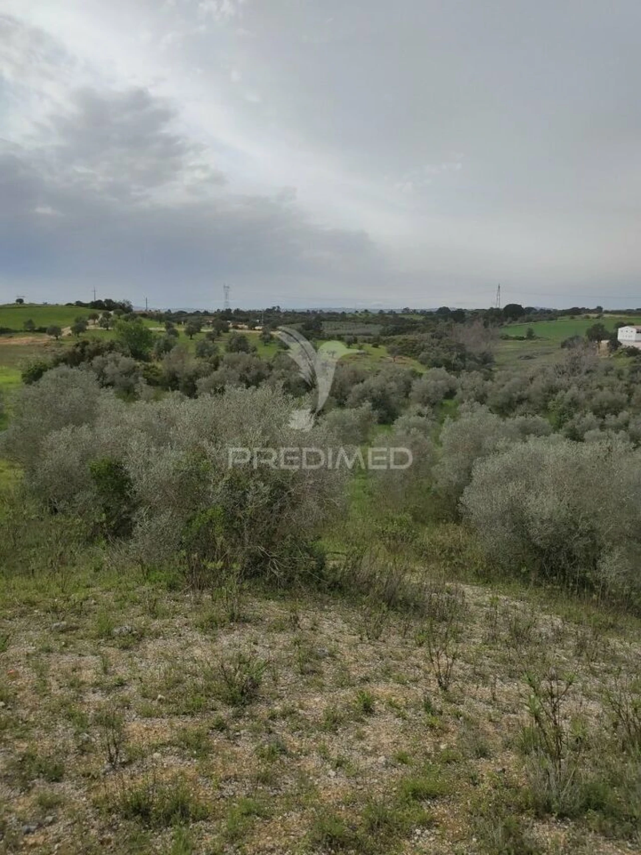 Terreno para Venda em Achete, Azoia de Baixo e Póvoa de Santarém Foto 2