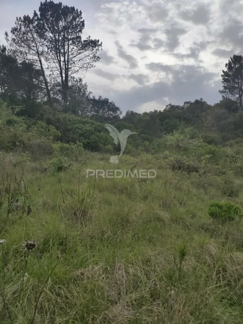 Terreno para Venda em Achete, Azoia de Baixo e Póvoa de Santarém