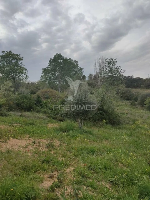 Terreno para Venda em Achete, Azoia de Baixo e Póvoa de Santarém