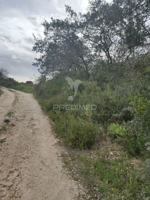Terreno para Venda em Achete, Azoia de Baixo e Póvoa de Santarém