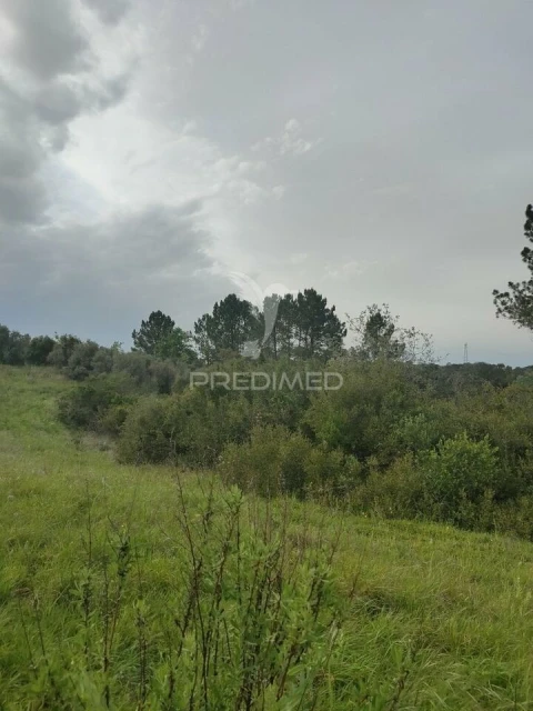 Terreno para Venda em Achete, Azoia de Baixo e Póvoa de Santarém