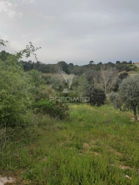 Terreno para Venda em Achete, Azoia de Baixo e Póvoa de Santarém