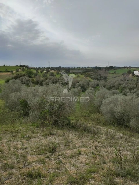 Terreno para Venda em Achete, Azoia de Baixo e Póvoa de Santarém
