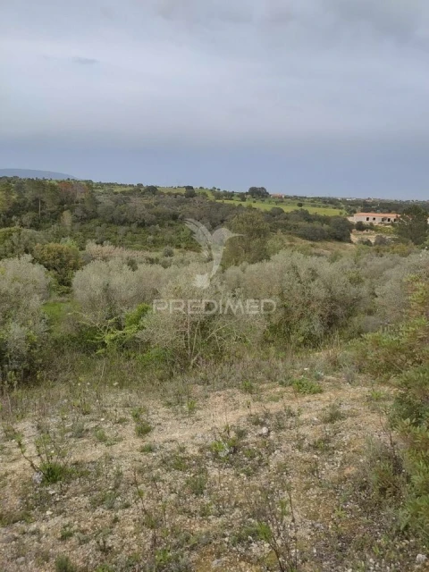 Terreno para Venda em Achete, Azoia de Baixo e Póvoa de Santarém