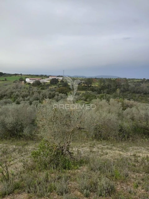 Terreno para Venda em Achete, Azoia de Baixo e Póvoa de Santarém