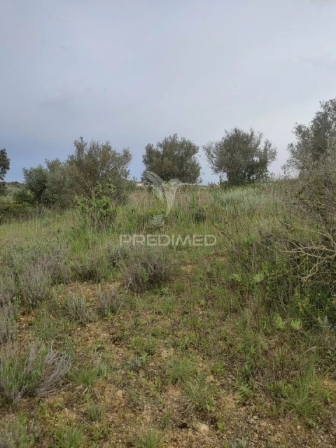 Terreno para Venda em Achete, Azoia de Baixo e Póvoa de Santarém