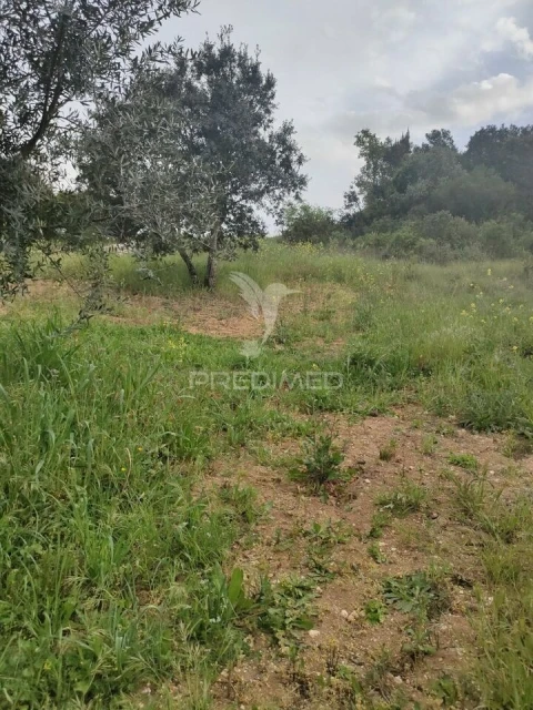Terreno para Venda em Achete, Azoia de Baixo e Póvoa de Santarém