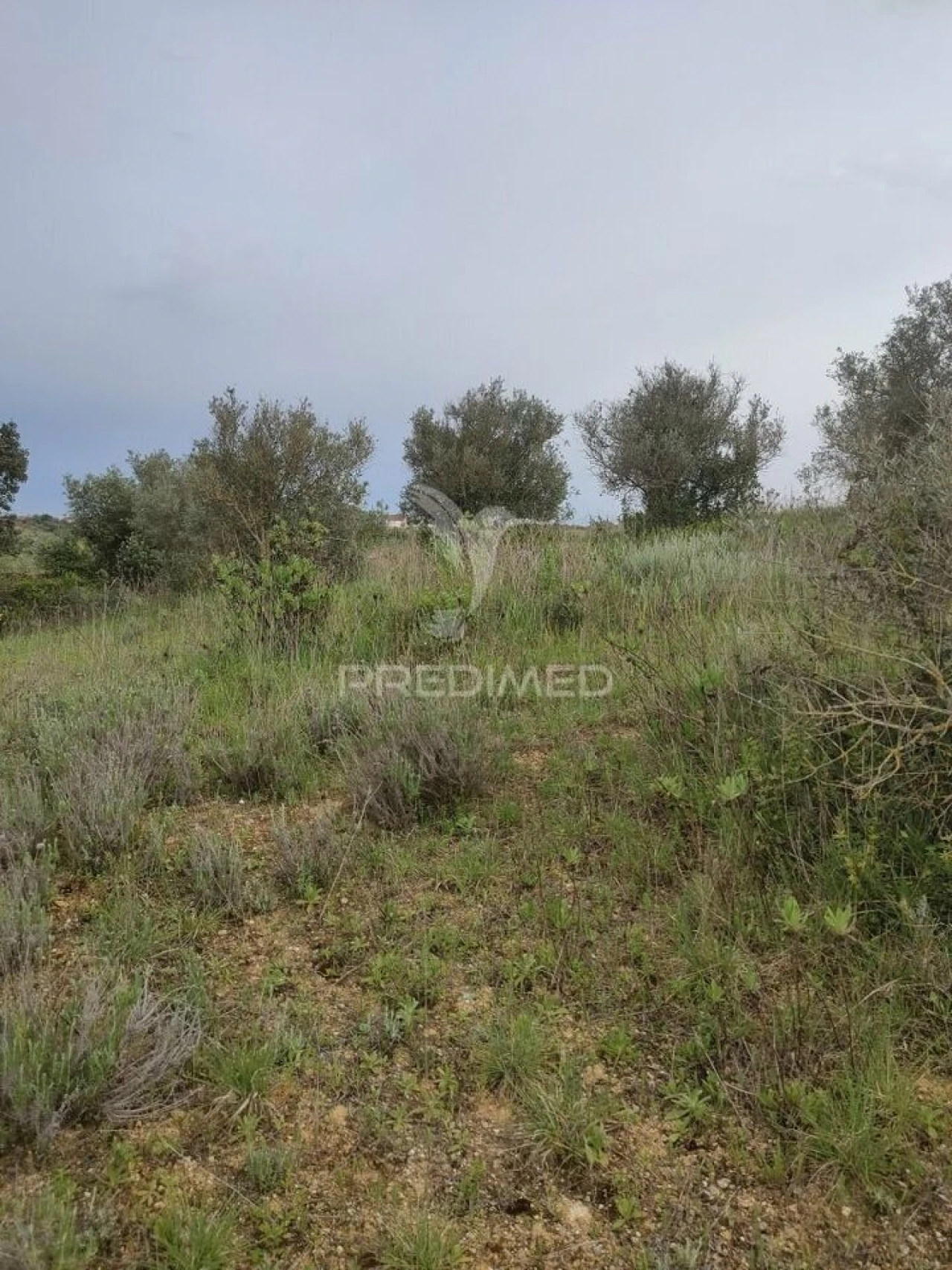 Terreno para Venda em Achete, Azoia de Baixo e Póvoa de Santarém Foto 5
