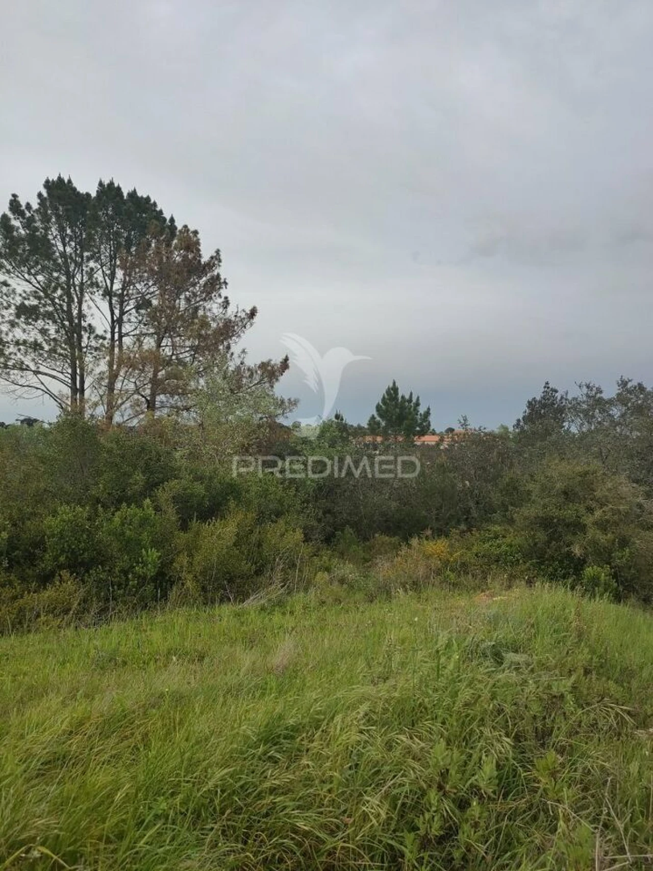 Terreno para Venda em Achete, Azoia de Baixo e Póvoa de Santarém Foto 7