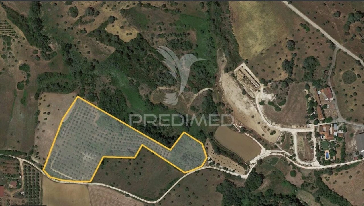 Terreno para Venda em Achete, Azoia de Baixo e Póvoa de Santarém Foto 14