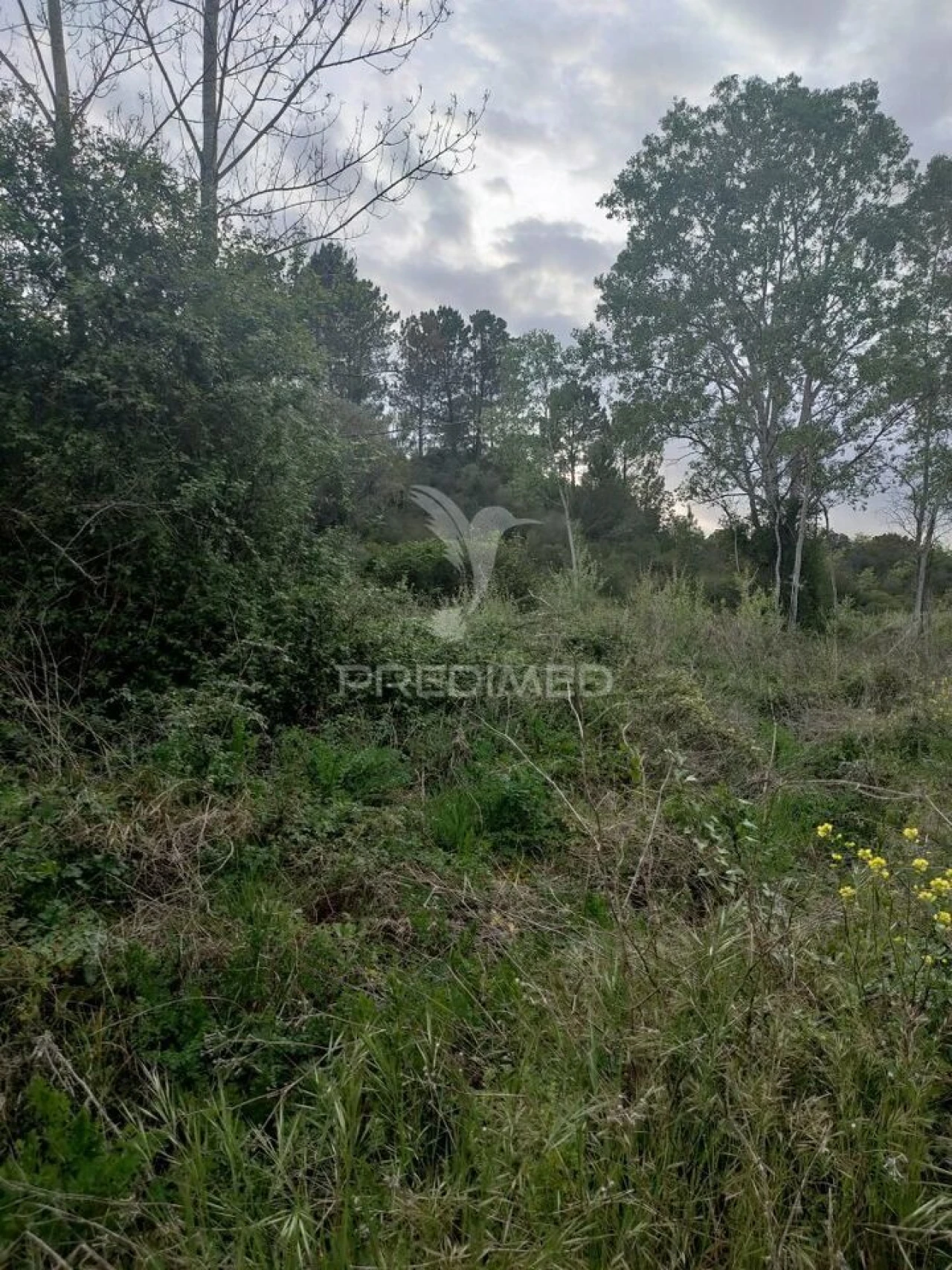 Terreno para Venda em Achete, Azoia de Baixo e Póvoa de Santarém Foto 12