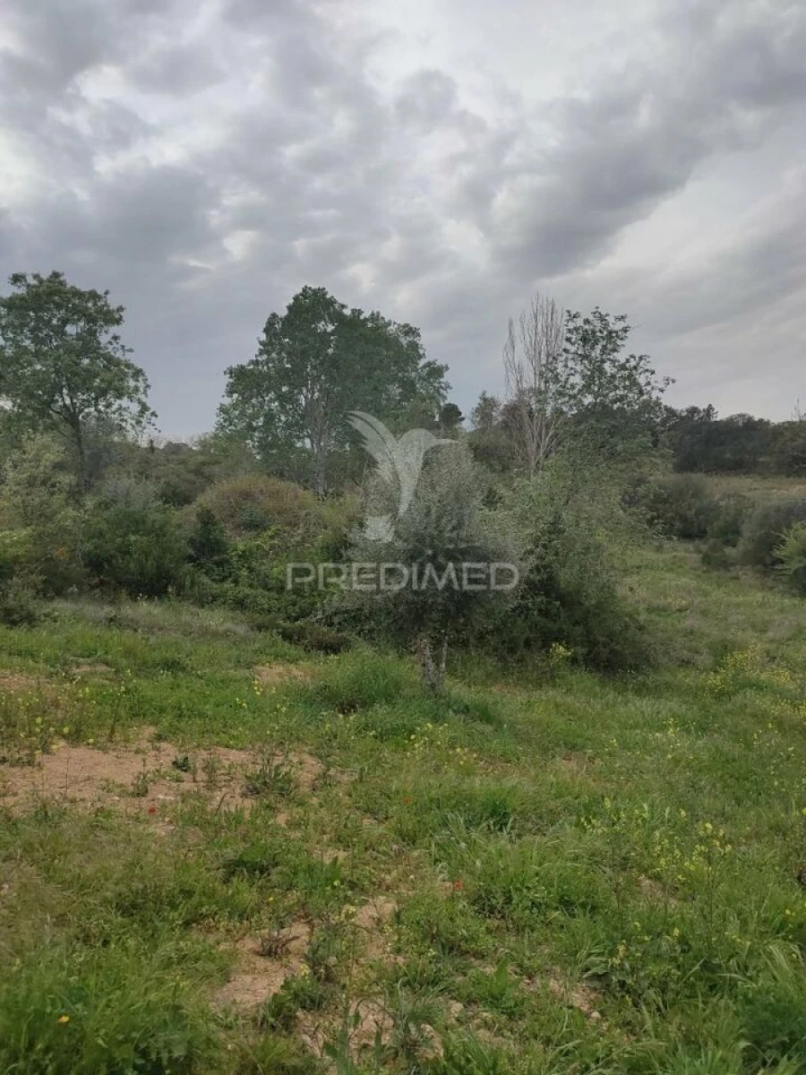Terreno para Venda em Achete, Azoia de Baixo e Póvoa de Santarém Foto 13