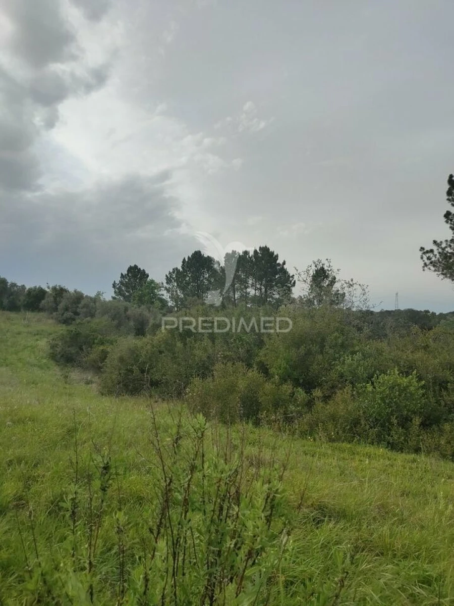 Terreno para Venda em Achete, Azoia de Baixo e Póvoa de Santarém Foto 6