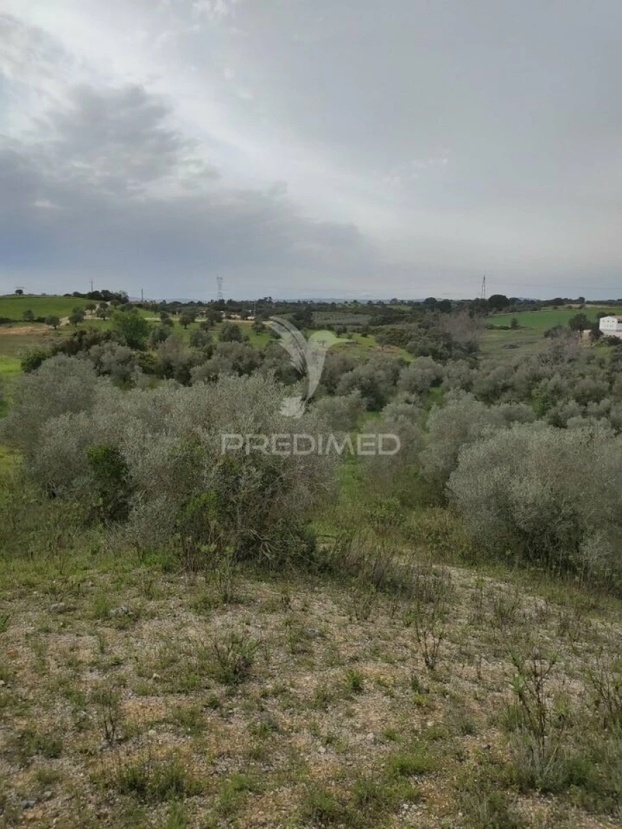 Terreno para Venda em Achete, Azoia de Baixo e Póvoa de Santarém Foto 2