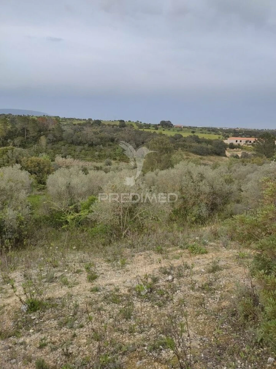 Terreno para Venda em Achete, Azoia de Baixo e Póvoa de Santarém Foto 4