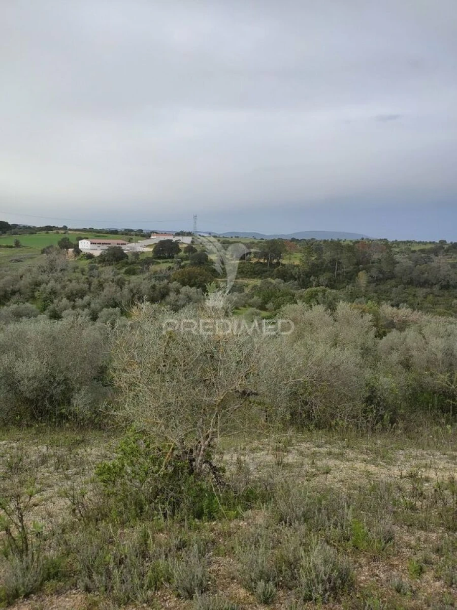 Terreno para Venda em Achete, Azoia de Baixo e Póvoa de Santarém Foto 3