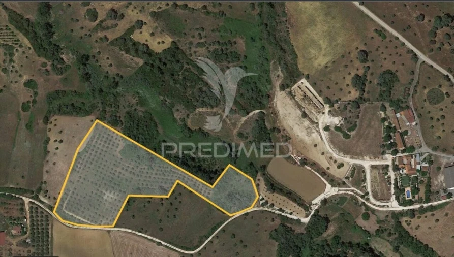 Terreno para Venda em Achete, Azoia de Baixo e Póvoa de Santarém Foto 14