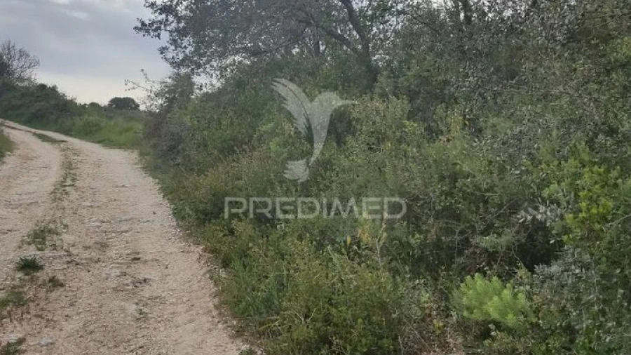 Terreno para Venda em Achete, Azoia de Baixo e Póvoa de Santarém