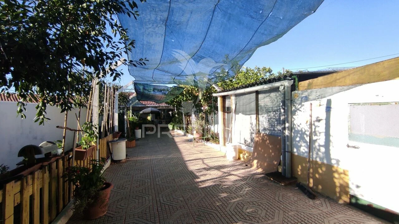 Moradia T3 para Venda em Trigaches e São Brissos Foto 3