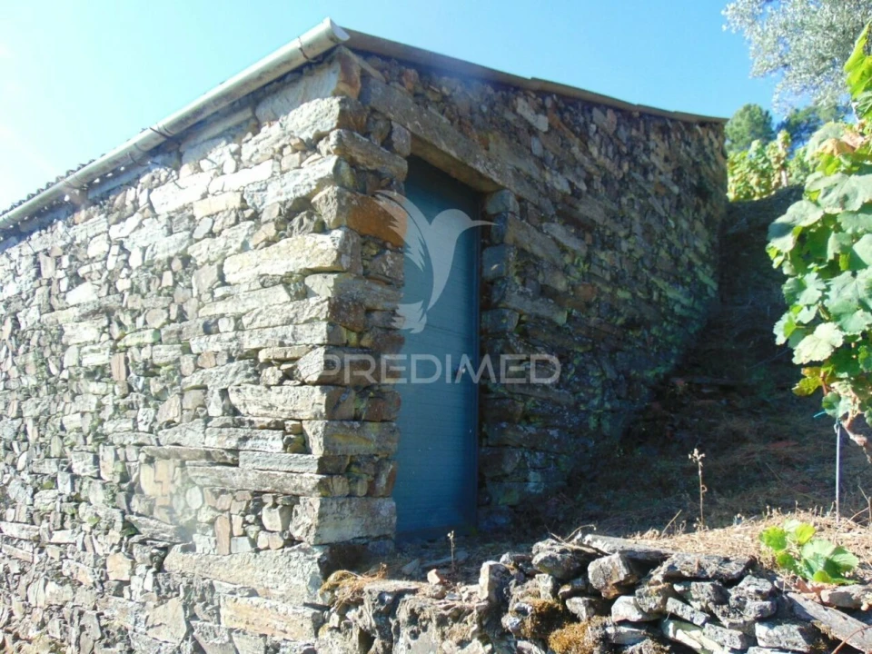 Terreno para Venda em Nogueira e Ermida Foto 26