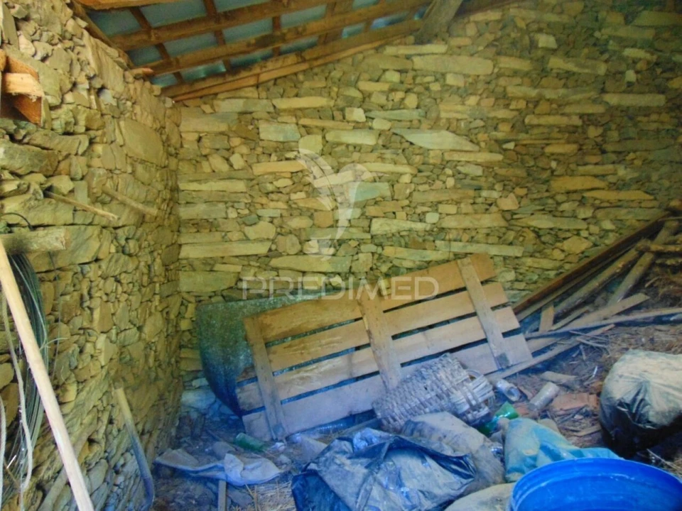 Terreno para Venda em Nogueira e Ermida Foto 25