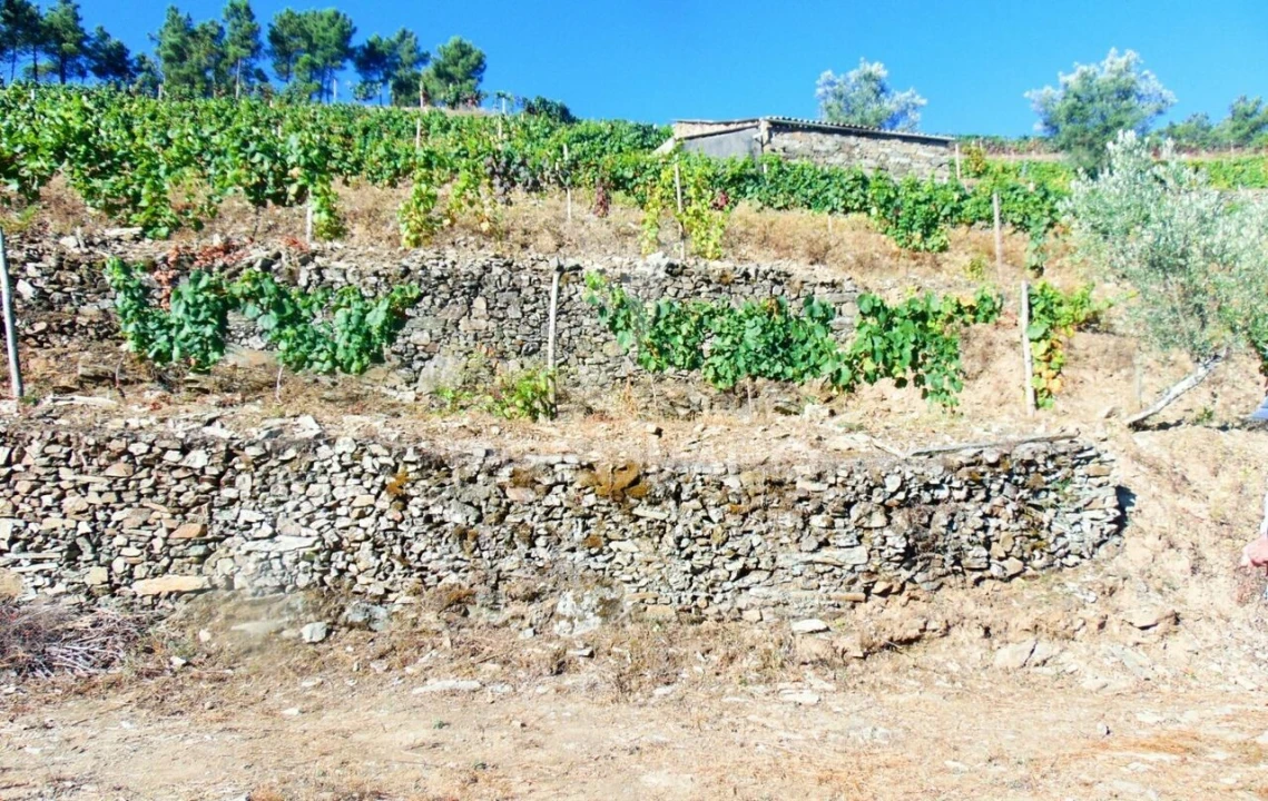 Terreno para Venda em Nogueira e Ermida Foto 20