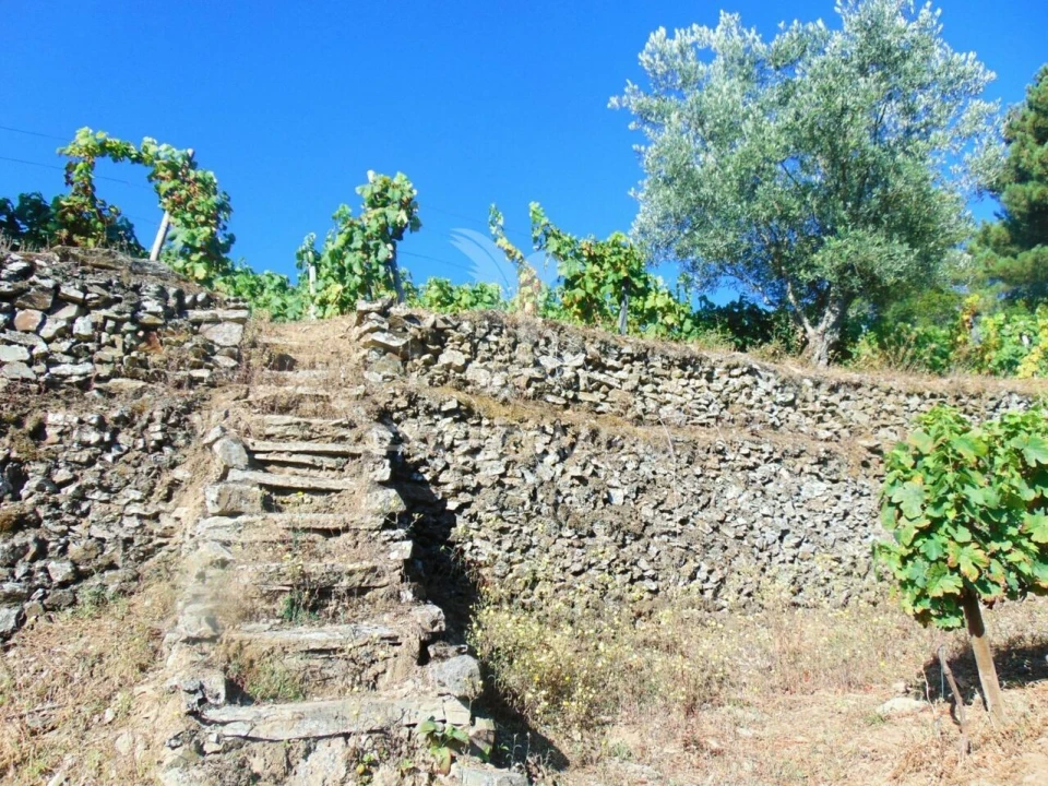 Terreno para Venda em Nogueira e Ermida Foto 22