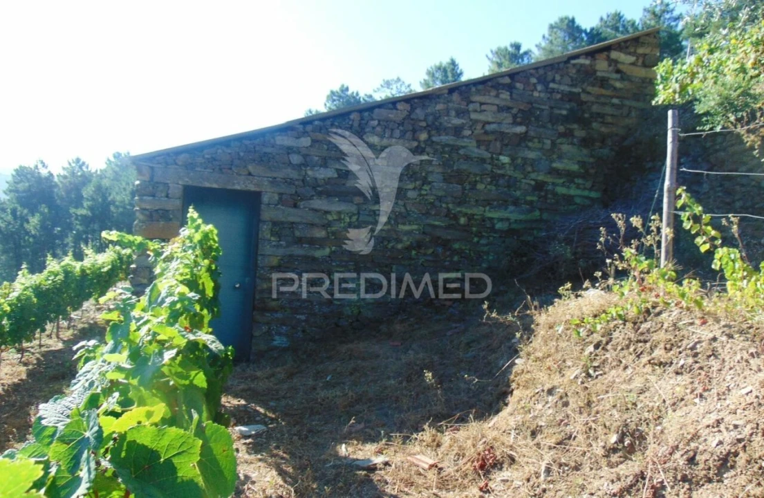 Terreno para Venda em Nogueira e Ermida Foto 24