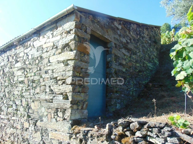 Terreno para Venda em Nogueira e Ermida Foto 26