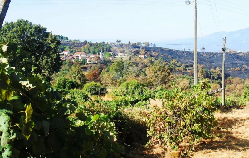 Moradia T3 para Venda em São Tomé do Castelo e Justes Foto 19