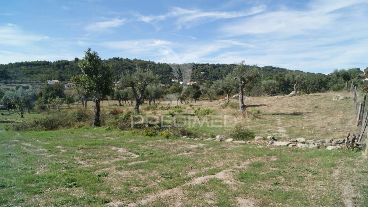 Terreno para Venda em Reguengo e São Julião Foto 2