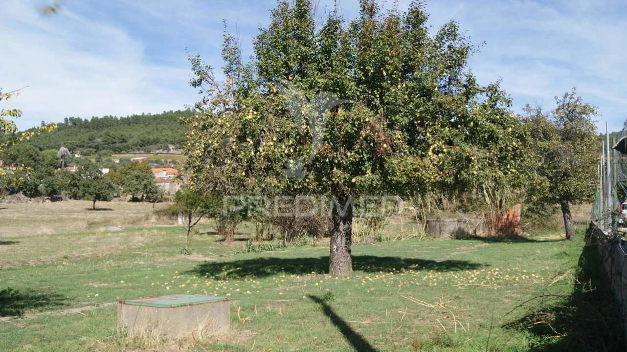 Terreno para Venda em Reguengo e São Julião Foto 19