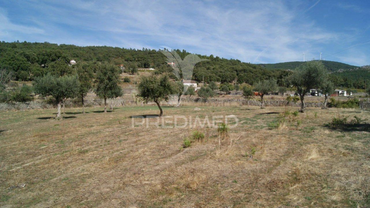 Terreno para Venda em Reguengo e São Julião Foto 7