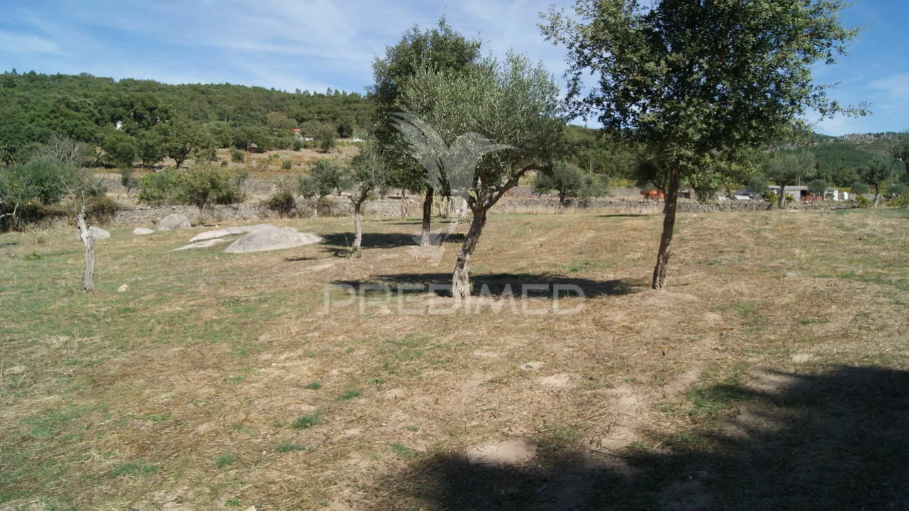 Terreno para Venda em Reguengo e São Julião Foto 5