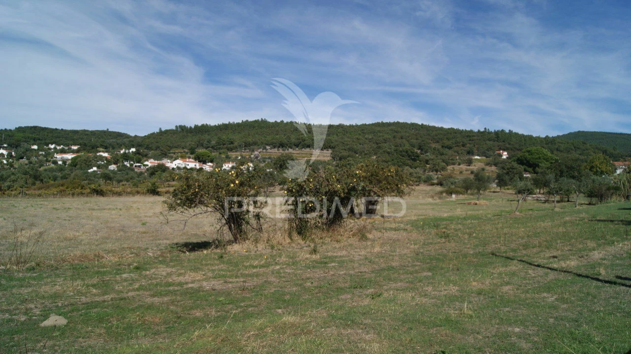 Terreno para Venda em Reguengo e São Julião Foto 17