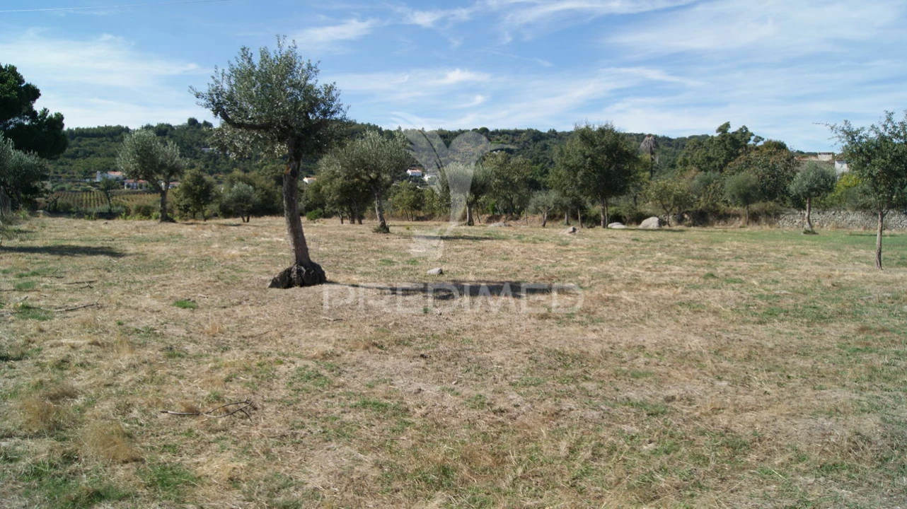 Terreno para Venda em Reguengo e São Julião Foto 9